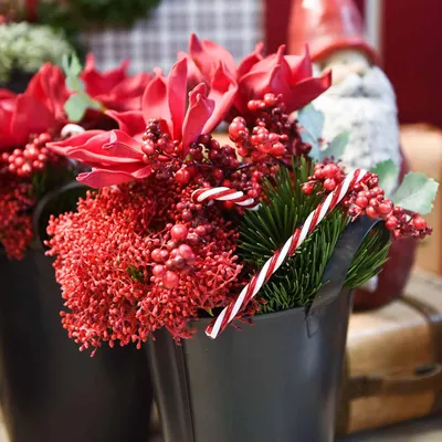 Produktbild von Zuckerstangen zum Hängen Weihnachtsdekoration Kunststoff, 5 Stück