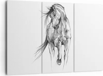 Produktbild von Bild auf Leinwand - Leinwandbild - 3 Teile - Pferd Galopp Tier - 165x110cm - Wand Bild - Wanddeko - Wandbilder - Leinwanddruck - Bilder - Wanddekoration - Leinwand bilder - Wandbild - CE165x110-5080