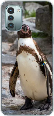 Produktbild von König Design Hülle kompatibel mit Nokia G11 Kunststoff Soft Handyhülle - Handy Case Pinguin