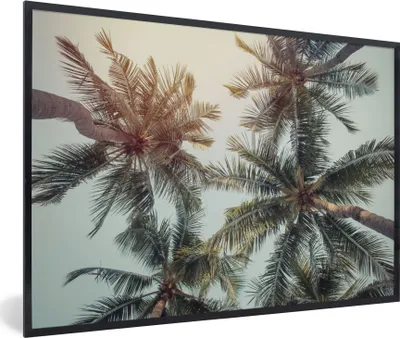 Produktbild von MuchoWow® Gerahmtes Poster Palme - Sommer - Tropisch 60x40 cm - Poster mit Schwarzem Bilderrahmen Wandposter Rahmen Foto Bilder - Printing - Wanddeko Schlafzimmer