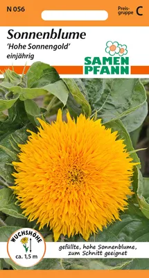 Artikelbild 1 von 'Sonnenblume SonnenGold' aus der Kategorie Sonnenblumensamen