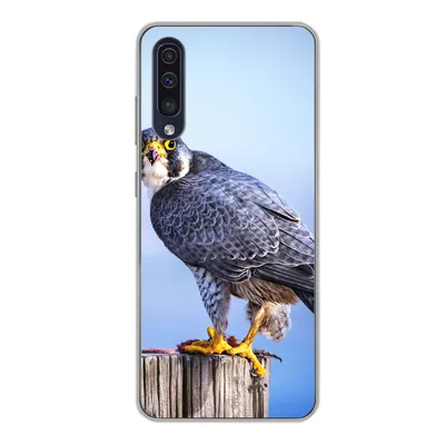 Produktbild von MuchoWow® Handyhülle Schutzhülle Hülle für Samsung Galaxy A50 Nahaufnahme eines Raubvogels auf einer dicken Holzstange Silikon Softcase Handy Hülle - Mobiltelefonhülle