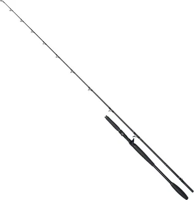 Obrázok produktu pre Westin W10 Monsterstick-T 233 cm 5XH 120–260 g – Baitcasterový prút