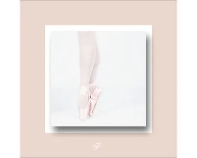 Produktbild von Metallbild Prima Ballerina I 50x50 cm