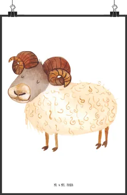 Produktbild von Mr. & Mrs. Panda Bild Sternzeichen Widder DIN A2 - Weiß - Geschenk, Geburtstag März, wanddeko, April, drucke, Wandbild, Bock, Plakat, kunstdruck poster, Schafbock