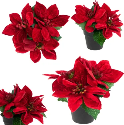 Obrázok produktu pre Betlehemská hviezda v kvetináči Umelá velúrová poinsettia Realistické