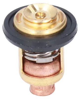Produktbild von Thermostat für Außenbordmotoren, 60°C / 140°F, für 4-Takt-Außenbordmotoren