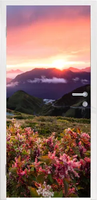 Produktbild von MuchoWow® Türtapete Selbstklebende Türfolie Blumen - Berge - Landschaft - Nacht - Himmel - Rosa 90x215 cm Türposter Türaufkleber Klebefolie Türklebefolie - Plakat an der Tür - Türsticker - Aufklebern