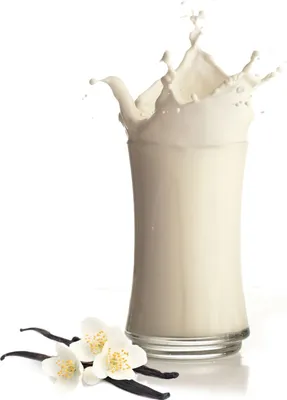 Immagine prodotto di Polvere per frullati alla vaniglia 1 kg