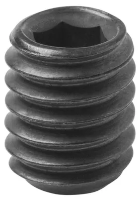 Productafbeelding van Montageschroef met inbussleuf, M4x5mm, 10 stuks.