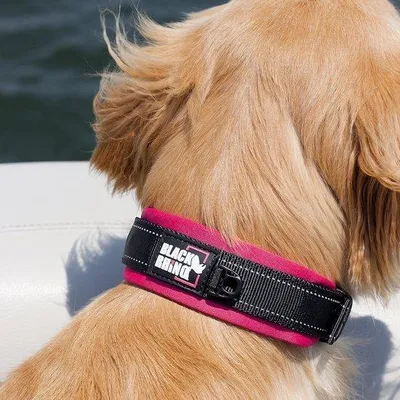 Produktbild von Famanu Hundehalsband Superweiche Neoprenpolsterung - Verstellbar, reflektierend, wetterfest (klein, rosa/schwarz)