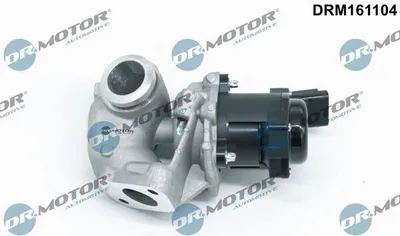 Produktbild von DR.MOTOR AUTOMOTIVE DRM161104 AGR-Ventil mit Dichtung für FORD Fiesta Mk6 Schrägheck (JA8, JR8) Abgasrückführungsventil