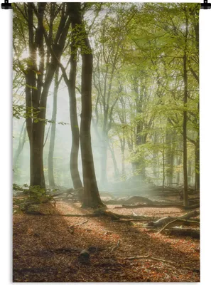 Produktbild von MuchoWow® Wandteppich Wandbehang Wald - Sonne - Jahreszeiten - Landschaft 120x180 cm Tapisserie Dekoration Wandtuch - Schlafzimmer - Dekorationen für das Haus