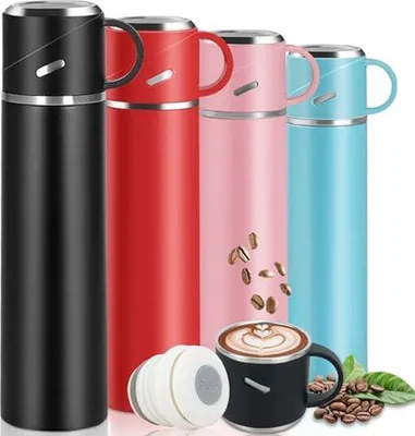 Image de Bouteille isotherme 0,55 l en acier inoxydable à double paroi