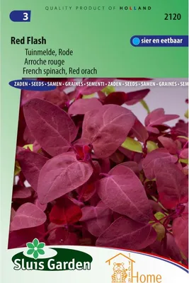 Immagine prodotto di Red Flash Garden Milk Red Seeds - Coltivate foglie rosse nutrienti per insalate e frullati - Di alta qualità, ricche di vitamine e minerali - Ideali per orti