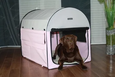 Produktbild von Tiertransportbox REX M Perl-Rosa Hundebox Hundetransportbox faltbar Autotransportbox Katzen Hunde