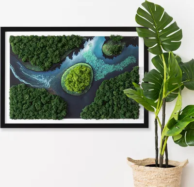 Produktbild von Moosbild mit Echtem Isländisch Moos - 60x40 cm - Schwarzer MDF-Rahmen - Insel in einer Flussaue