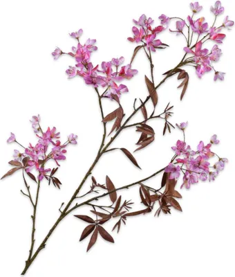 Produktbild von Silk-ka Kunstblume - Seidenblume Blütenzweig Lavendel-Pink 108 cm