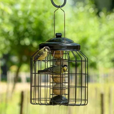 Produktbild von Schutz-Meisenknödelhalter für kleine Vögel „Brüssel“