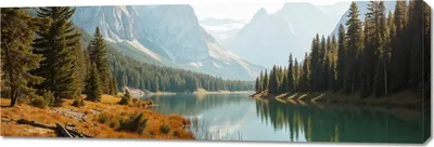 Immagine prodotto di Quadro 150x50cm Quadro su tela per soggiorno camera da letto Panorama  Foresta