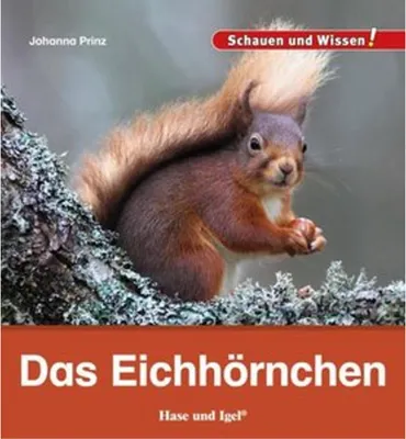 Image de Das Eichhörnchen