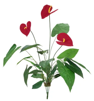 Immagine prodotto di EUROPALMI Anthurium, artificiale, 70 cm (82530164)
