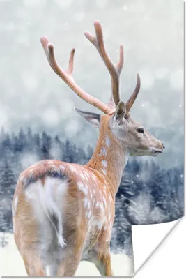 Produktbild von MuchoWow® Poster Winter - Hirsche - Tiere 40x60 cm - Plakate für die Wand - Poster Babyzimmer