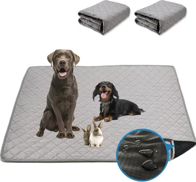 Produktbild von Welpenunterlagen Waschbar, 2 Stück 70*100 cm, Wiederverwendbare Puppy Training Pads, 4-lagige Konstruktion, rutschfeste und saugfähige für Hunde,Katzen,Kaninchen,Meerschweinchen