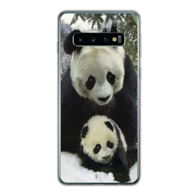 Produktbild von MuchoWow® Handyhülle Schutzhülle Hülle für Samsung Galaxy S10 Panda - Jungtier - Schnee Silikon Softcase Handy Hülle - Handytasche