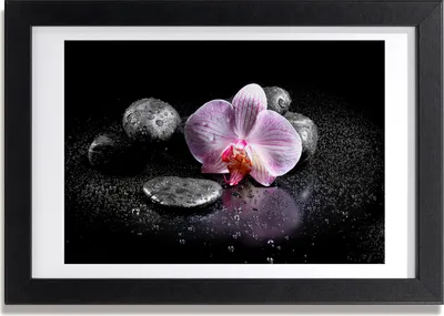 Produktbild von Bild 30x20 MDF-Rahmen, Wandkunst Orchidee