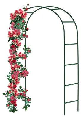 Image de Arche de jardin en acier, résistante aux intempéries, dimensions : 240 x 140 x 38 cm