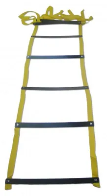 Immagine prodotto di Scala di frequenza AGILITY - allenamento - 4m giallo