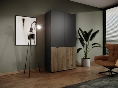 Produktbild von Kleiderschrank – Drehtürenschrank 2 Türen – Nordic – Schwarz – 101 cm – Moderner Drehtürenschrank mit MDF-Front und großzügigem Stauraum