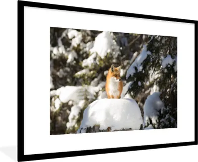 Produktbild von MuchoWow® MuchoWow® Gerahmtes Poster Fuchs - Schnee - Baum 90x60 cm - Poster mit zchwarzem Bilderrahmen - Wanddekoration - Fotos