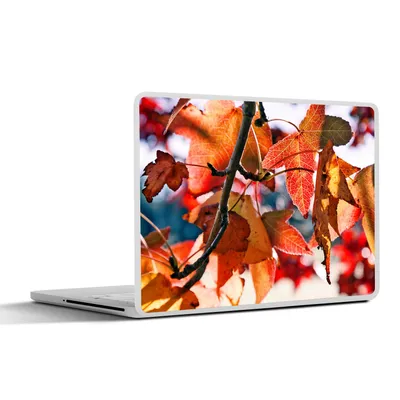Produktbild von MuchoWow® Laptop Aufkleber Sticker Cover Ahorn - Blätter - Rustikal - Herbst 36.5x27.5 cm - Laptop-Sticker