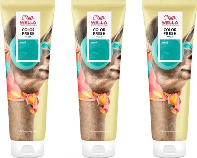 Produktbild von Color Fresh Mask Mint 3x150 ml