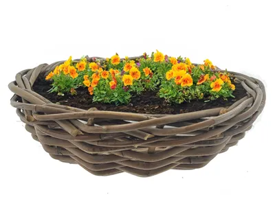 Produktbild von Pflanzen-/Blumenschale - Rattangeflecht - D41 x H12 cm - Terrassenschale - Korb - Flechtwerk