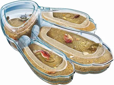 Image de Clementoni Clemen Original Triops Maxi de Luxe| 59246