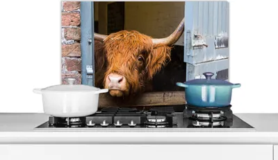 Obrázek produktu pro KitchenYeah® Splashback kuchyň - kuchyňský splashback - ochrana stěny sporáku a dřezu - skotský skot - statek - stodola 60x40 - hliníkový dibond (alternativa ke skleněnému splashbacku) - heatb