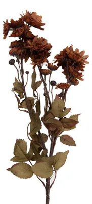 Produktbild von Clayre & Eef Kunstblume 6x10x80 cm Orange Kunststoff