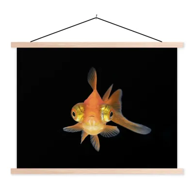 Produktbild von MuchoWow® Textilposter Goldfisch - Meerestiere - Augen 150x113 cm mit holzfarbenen Rahmen - Poster