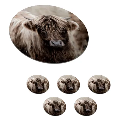 Produktbild von KitchenYeah® Glasuntersetzer Rund 6er Set Schottisches Hochlandrind - Kühe - Braun 10x10 cm Untersetzer für Gläser - Getränkeuntersetzer - Tischplattenschutz - Tischuntersetzer für Tassen Tisch Bar G