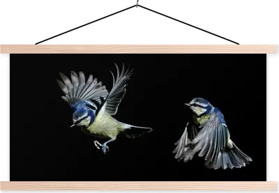 Produktbild von MuchoWow® Textilposter Vogel - Federn - Porträt 120x60 cm mit holzfarbenen Rahmen - Klemmleiste
