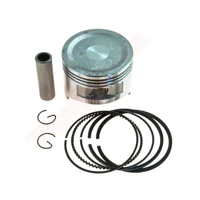 Immagine prodotto di Pistoni Per Honda Gx270 77Mm +0.25 ( 13102-Zh9-000 )
