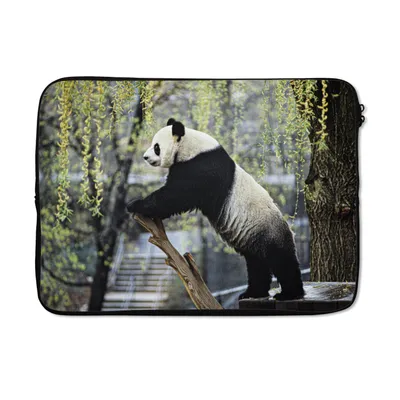 Produktbild von MuchoWow® Laptop Hülle 13 Zoll Panda - Fluss - Baum Laptoptasche - Laptophülle - Sleeve - Rundumschutz