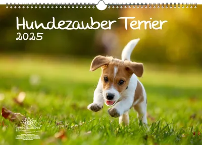 Produktbild von Hundezauber Terrier DIN A3 Kalender für 2025 Welpen und Hunde - Seelenzauber