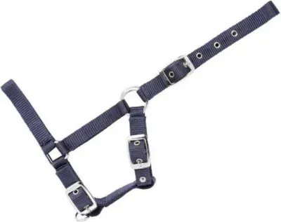 Produktbild von Usg Fohlenhalfter Blau Blau One Size