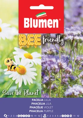 Artikelbild 1 von 'Bienenfreund (Phacelia)' aus der Kategorie Blumensamen