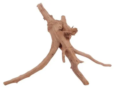 Produktbild von M Moorkienwurzel Nr.4394 Holz Deko Aquascaping