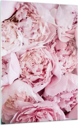 Produktbild von Bilder auf glas - Einteilig - Blumenstrauß Blumen Rosa - 50x70cm - Glasbilder - Wandbilder - Bilder - zum Aufhängen bereit - Wanddekoration aus Glas - Glas Bilder - Wandbild auf Glas - GPA50x70-5001